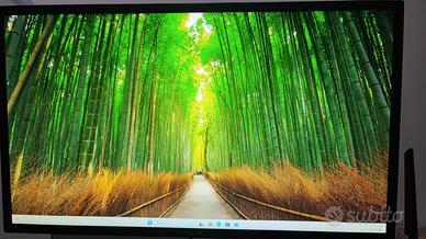 Monitor Asus 24" Pollici 