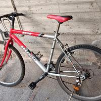 bicicletta tipo mountain bike