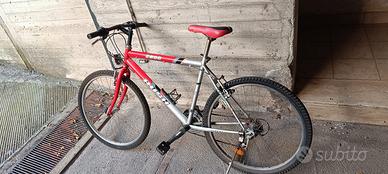 bicicletta tipo mountain bike