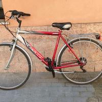 Bicicletta da uomo 28