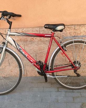 Bicicletta da uomo 28