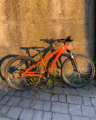 Bici rockrider