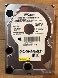 Hard Disk WD da 320 gb