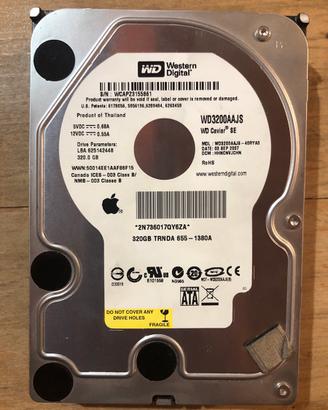 Hard Disk WD da 320 gb