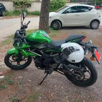 Kawasaki Z 125 - 2019