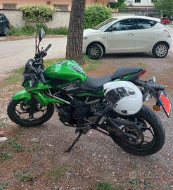 Kawasaki Z 125 - 2019