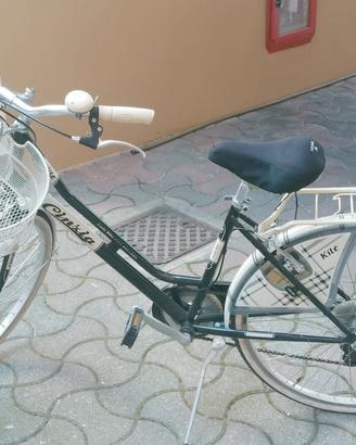 Stupenda bici stile vintage 