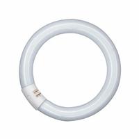 Lampade fluorescenti circolari da 40w G10q OSRAM