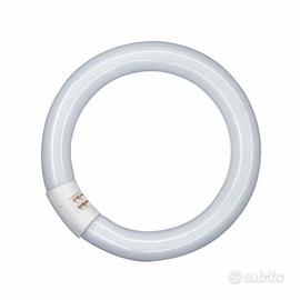 Lampade fluorescenti circolari da 40w G10q OSRAM