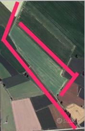 Terreno agricolo Morozzo