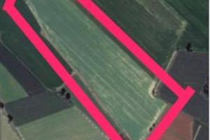 Terreno agricolo Morozzo