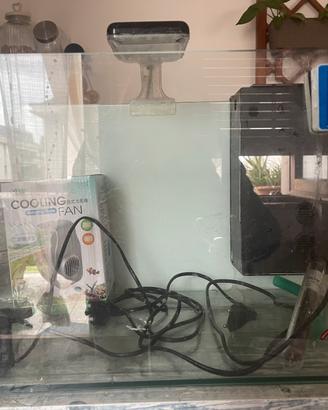 Acquario completo 45,5 x 29 x 30cm