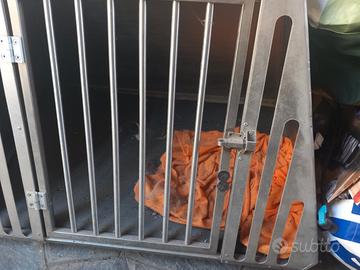 Trasportino cani x auto