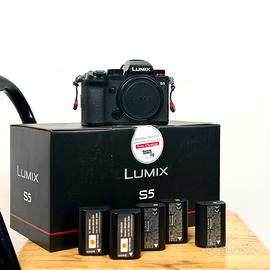 Lumix S5