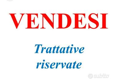 Casa bifamiliare con garage