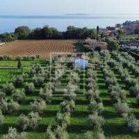 Terreno Edificabile - Manerba del Garda