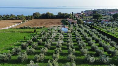 Terreno Edificabile - Manerba del Garda