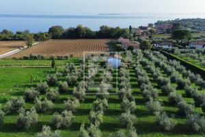Terreno Edificabile - Manerba del Garda