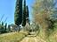 Immagine 10