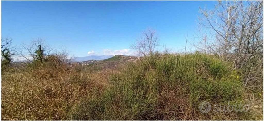 Immobile in asta di 12300 m² a Cortona - Vista 3
