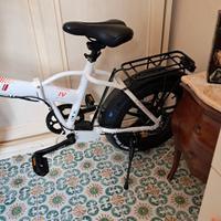 bici elettronica 