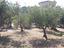 Immagine 3