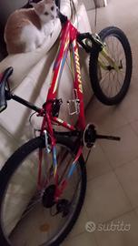 Bicicletta