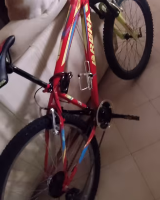 Bicicletta