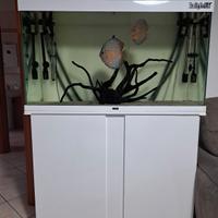 Acquario Ciano Emotions Nature Pro 100 Led 200 LT