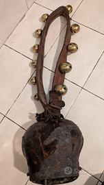 campanaccio mucche 