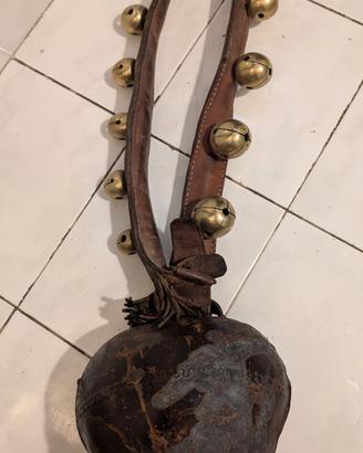 campanaccio mucche 