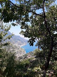 Appartamento con terreno