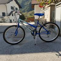 Bici mountain bike