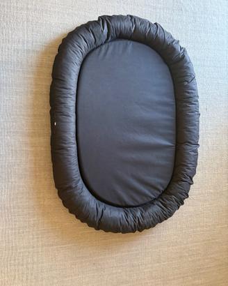 Cuccia per cani