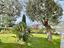 Immagine 20