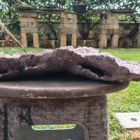 lastra  collezione boschetti bonsai