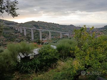 Terreno 3mila mq con indice