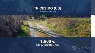 Immobile in asta di 8080 m² a Tricesimo