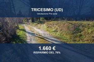 Immobile in asta di 8080 m² a Tricesimo