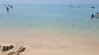 Salento monolocale a solo 8 km dal mare