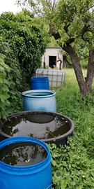 Terreno frutteto servito da acqua, gabbiotto