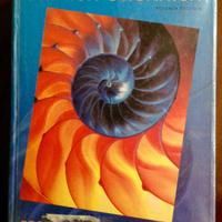 Chimica Organica - Brown & Foote - Edises 1999