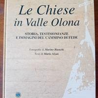 Le Chiese in Valle Olona