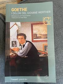 I dolori del giovane Werther