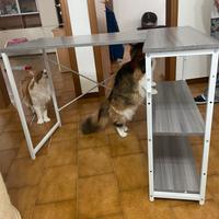 Scrivania piano in legno gambe in acciaio