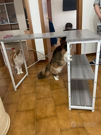 Scrivania piano in legno gambe in acciaio