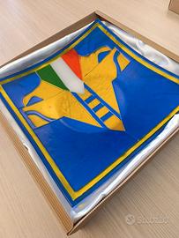 HELLAS VERONA 