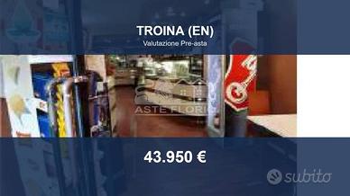 Immobile in asta di 110 m² a Troina