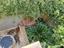 Immagine 21