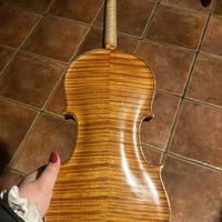 Violino